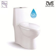 Bathroom Design Dual Flush Compact Toilet